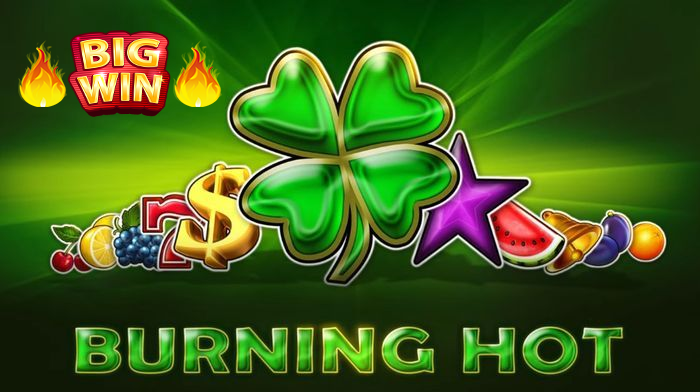 12,200 ლარიანი მოგება Burning Hot-ში