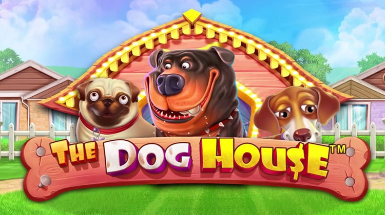 Dog House-ის ნაყიდი ბონუსით მოთამაშემ უდიდესი თანხა მოიგი (სქრინი)