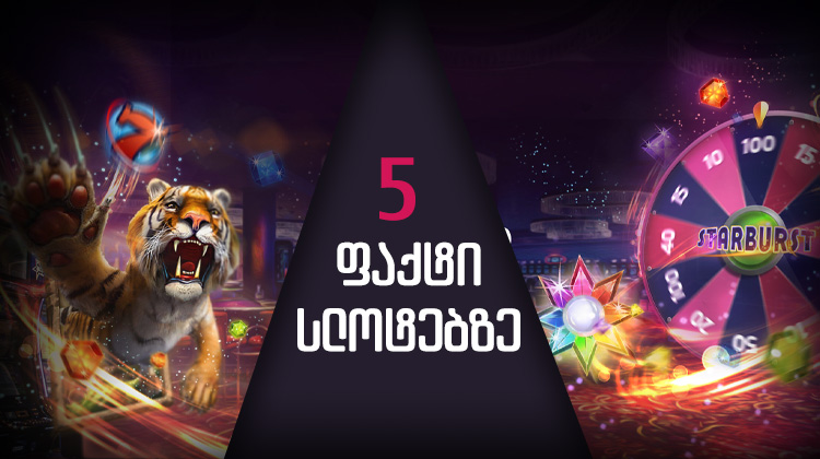 ნახე 5 ფაქტი სლოტებზე