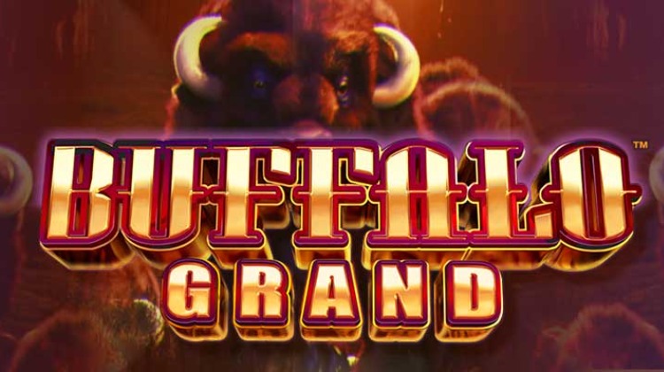 Buffalo Grand-ში რეკორდული თანხა გათამაშდა