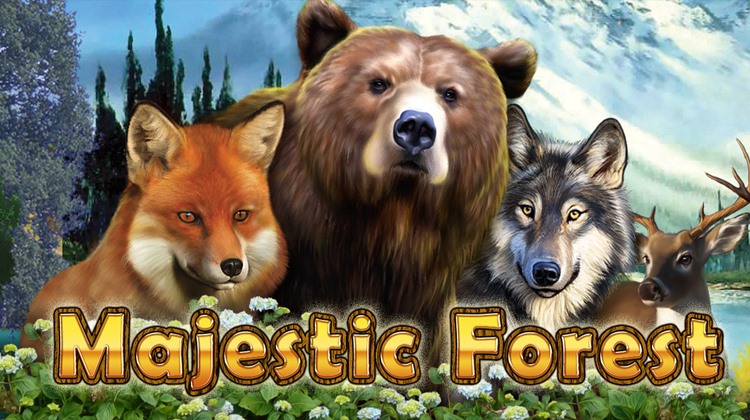 მოთამაშემ Majestic Forest-ის ბონუსში 96 ფრისპინი დაიჭირა