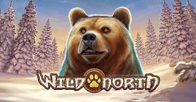 Wild North