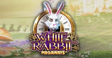 White Rabbit