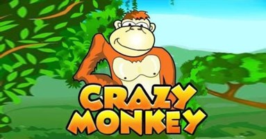 Crazy monkey