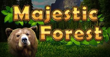 Majestic Forest